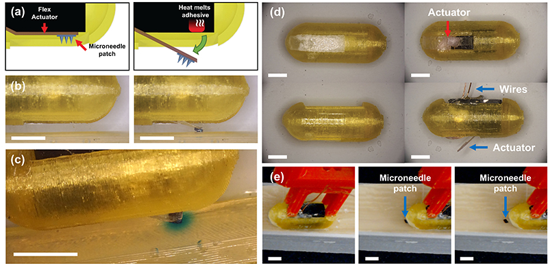 Fig 6 from the paper. [Click to enlarge.] (a) A schematic of the internal flex actuator (left) before and (right) after deployment via thermal actuation. (b) An uncoated actuator packaged capsule before (left) and after (right) firing of the actuator. (t=0 min) (c) An image of the microneedles fired into agar showing dye diffusion from the microneedle patch. (t=20 min) (d) The 5x FRRB coated preloaded capsule before (left) and after (right) translation and deployment of the GI simulator. (e) Images of the capsule during translation across the small intestinal phantom showing the microneedle patch left behind as the capsule translates.