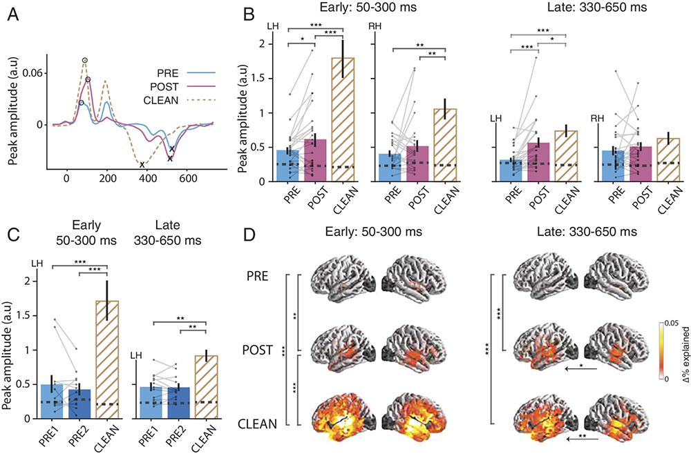 Neural responses to word onset. (A) The word onset TRFs for a representative subject shows two main peaks: an early positive peak (50 to 300 ms) and a late negative peak (330 to 650 ms). (B) Peak amplitude comparison by speech condition for early and late peaks and by hemisphere. (C) Peak amplitude comparison by speech condition for early and late peaks in the control study. (D) Word onset contributions to the prediction accuracy, but separated for the early and late processing stages. TRF peak amplitude comparison and prediction accuracy comparisons show that both early and late word onset responses are modulated by intelligibility. At the early processing stage neural responses in POST compared to PRE are stronger in STG and towards late processing stage this effect was extended to left PFC. Peak amplitude enhancement is not observed for mere passage repetition (in the control study) in either early or late responses.

Image courtesy of the authors and PNAS. [Click on the image to view it at full size.]
 