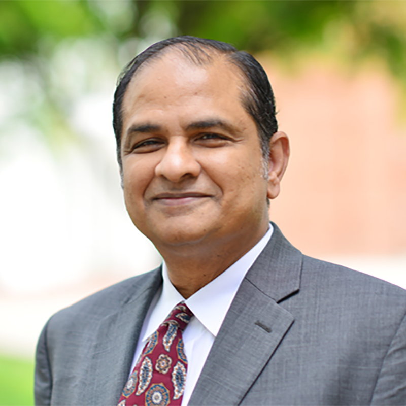 Balakumar Balachandran, Minta Martin and Distinguished University Professor, University of Maryland.