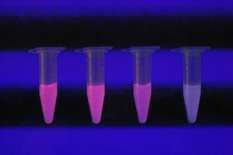 Molecularly imprinted hydrogels