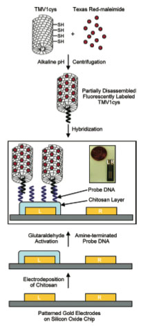 NSF Grant for Nanofabrication for Energy Apps