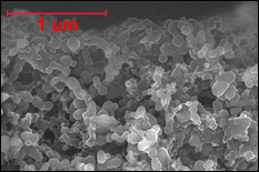 A scanning electron microscope (SEM) image of a cross-section of Guo and Wang's silicon scaffold anode.