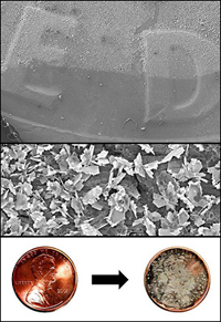 Top: The edge of the droplet of silver nitrate on a dime. The lighter area is where the galvanic displacement occurred, and silver crystals have grown. Middle: Silver plates grow outward from the surface of a dime. Many of the edges of these plates terminate in smaller, sharp features that greatly enhance the Raman scattering signal. Bottom: Micro- and nanoscale silver crystals grow in a matter of minutes on the surface of a penny using a simple, single step reaction. These crystalline structures are capable of significantly enhancing the Raman scattering signal from molecules that adsorb to the surface of the crystals. The portability of the coins coupled with the simplicity of the reaction make the possibility of remote, field use of surface enhanced Raman scattering (SERS) a distinct possibility.