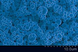 Oxide-free, micrometer sized Copper particles generated by a spray pyrolysis process with a cosolvent of ethylene glycol at 1000°C. These hollow, smooth-surfaced particles were designed to replace the precious metal particles used in conductive pastes, which are essential to the electronics industry. 