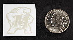 Diagnostic anSERS uses this image of University of Maryland mascot Testudo, which was produced by an inkjet printer using a novel, silver-laced ink, to demonstrate how their SERS substrates can be adapted to any size and shape required.