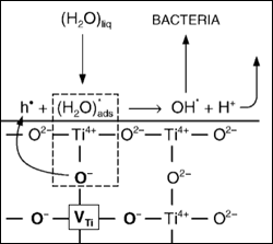 Schematic representation of effect of titanium vacancies on partial water oxidation leading to formation of hydroxyl radicals.