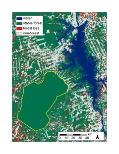 Deforestation around the Parakanã Indigenous Reserve in the Brazilian State of Para.