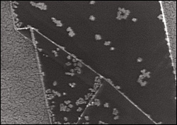 MSE graduate student Alex Pearse is using atomic layer deposition to promote the preferential growth of platinum (bright areas) on the edges and folds of graphene flakes (dark areas) to create to create new high-performance, transparent, conducting thin films and other novel photoelectrochemical catalysts. Graphene’s unique properties have allowed Pearse to get creative in his experiments.