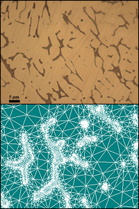 Top image: The microstructure of the stainless steel CF3, with its two phases clearly distinguishable. Bottom image: An elarged view of the digitized microstructure of the same sample, with a finite element modeling (FEM) mesh applied.