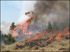 2011 Diamond Complex in southeastern Montana. Photo by Jason Forthofer, USDA FS