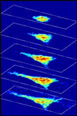 Novel Microscopy Technique to Shed New Light on Study...